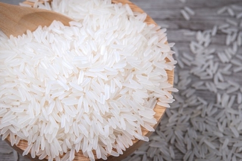 rice jasmin