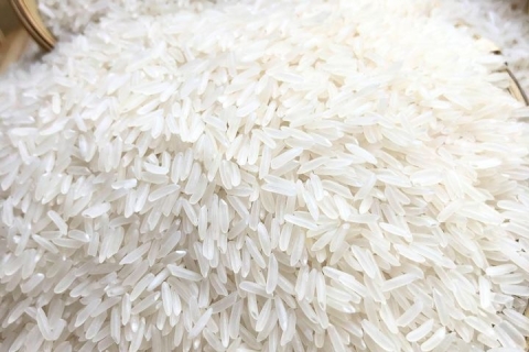 rice jasmin