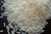 rice jasmin