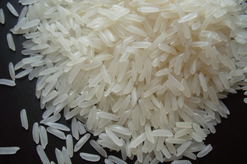 rice jasmin